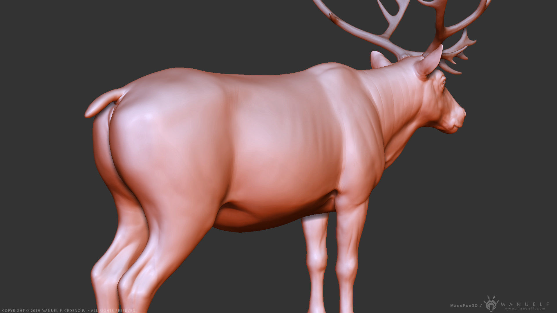 Reindeer Caribou - Highpoly Sculpture 3D model_19