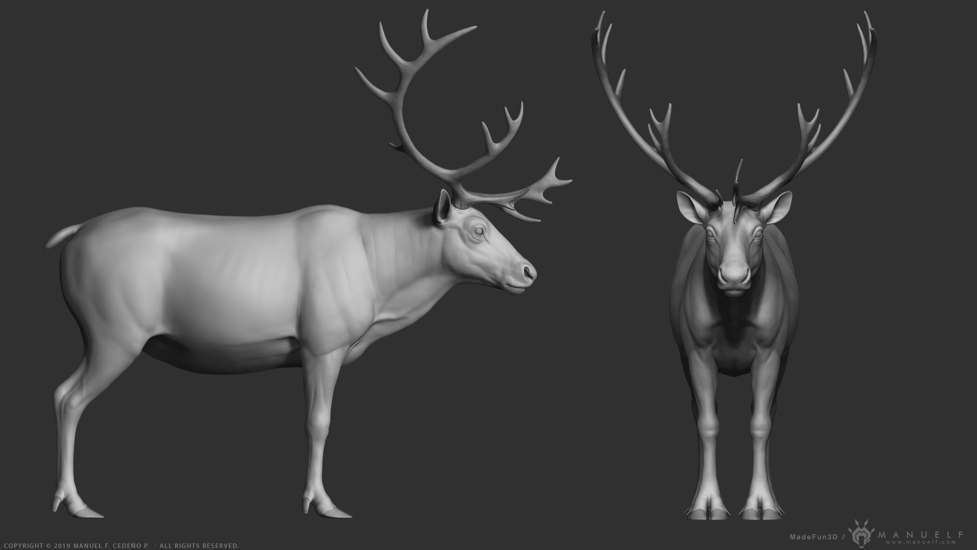 Reindeer Caribou - Highpoly Sculpture 3D model_8