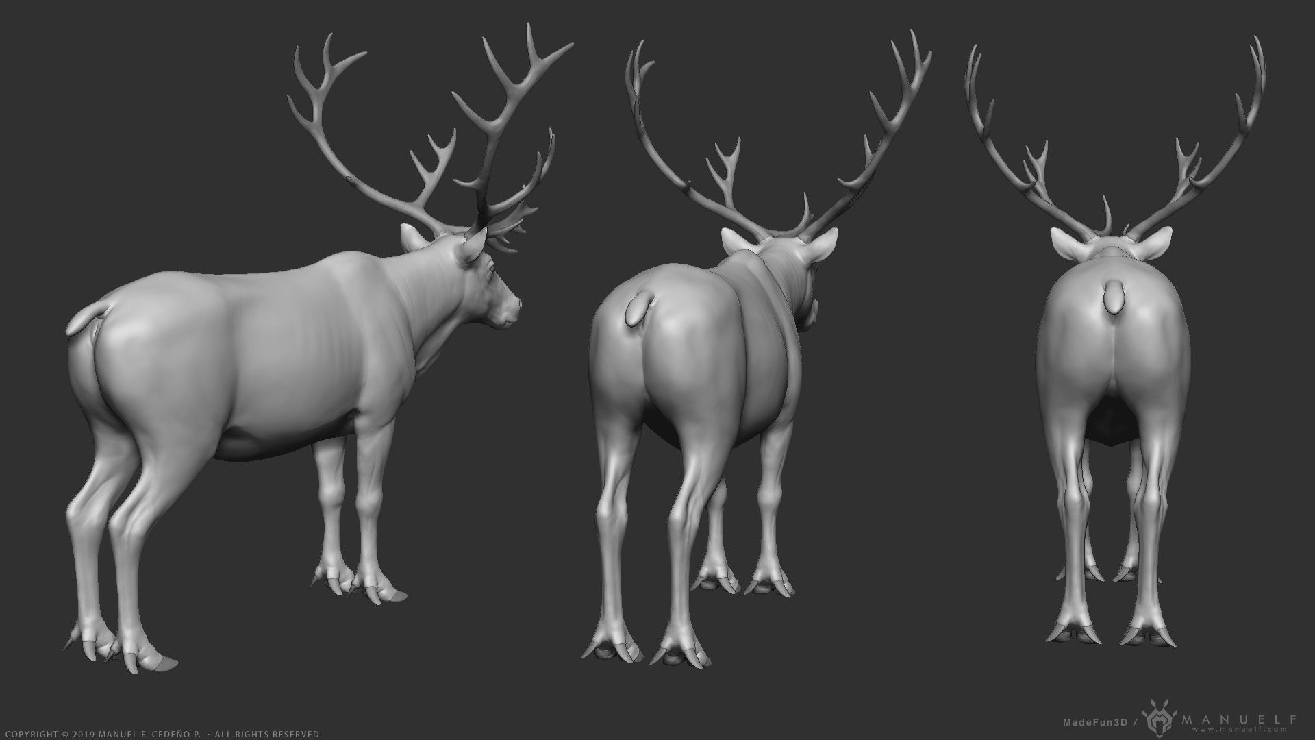 Reindeer Caribou - Highpoly Sculpture 3D model_7