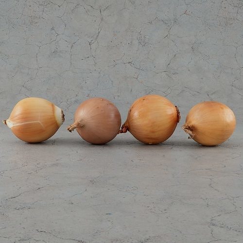 Four onions 3D model