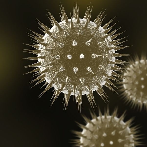 Virus 01 3D model_1