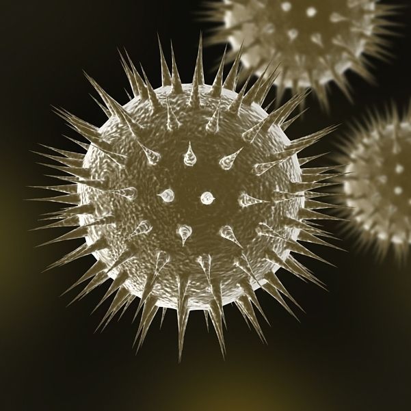 Virus 01 3D model_5