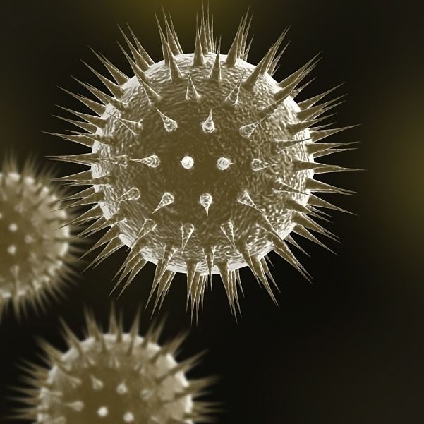 Virus 01 3D model_4