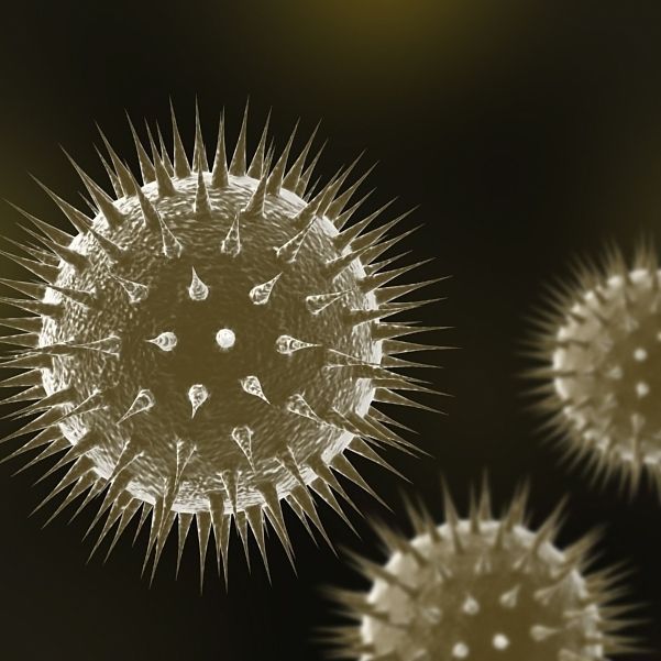 Virus 01 3D model_3