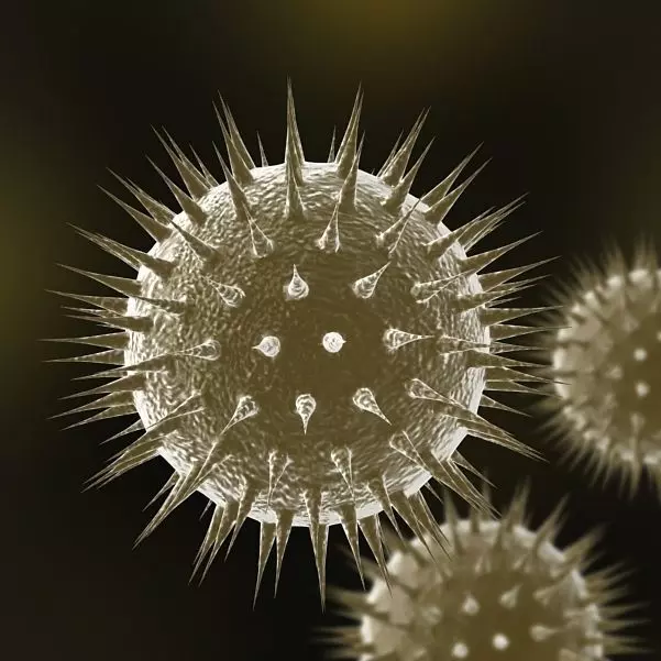 Virus 01 3D model_0