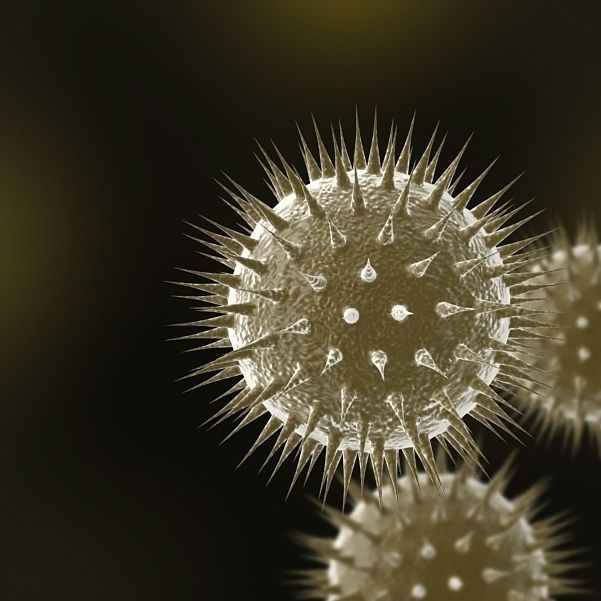 Virus 01 3D model_2