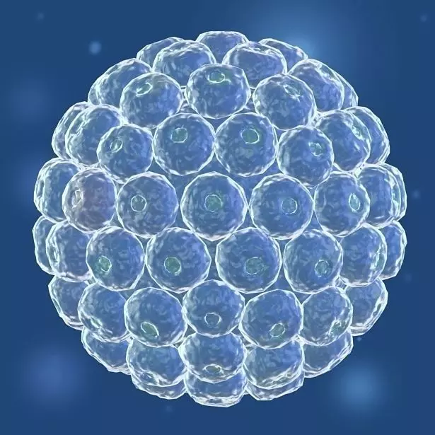 Virus 04 3D model