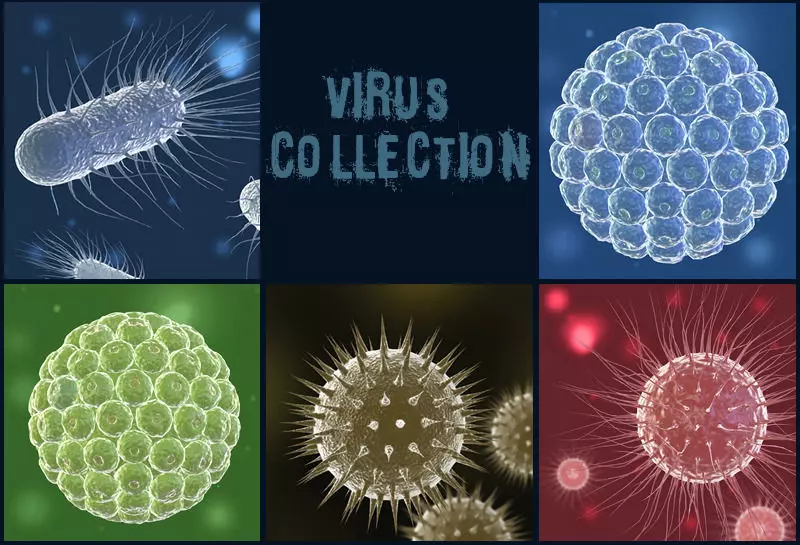Collection virus ball of bacteria 3D model
