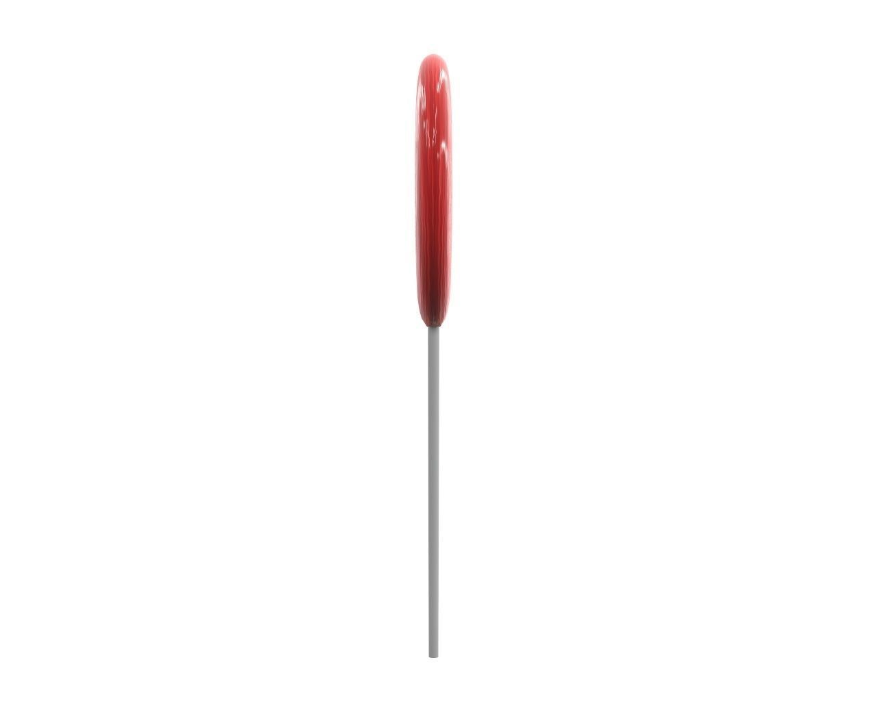 Round lollipop on stick 3D model_3