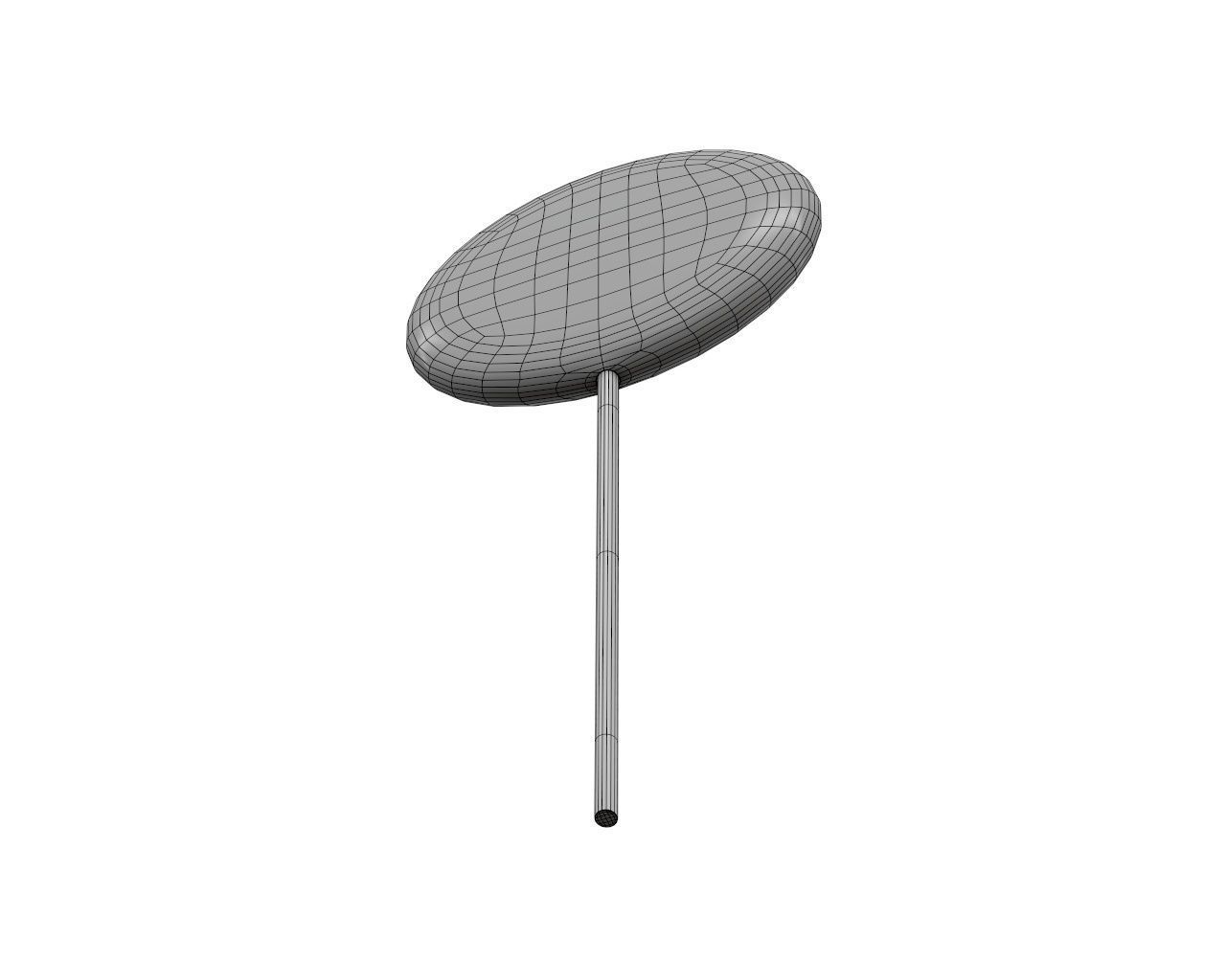 Round lollipop on stick 3D model_8