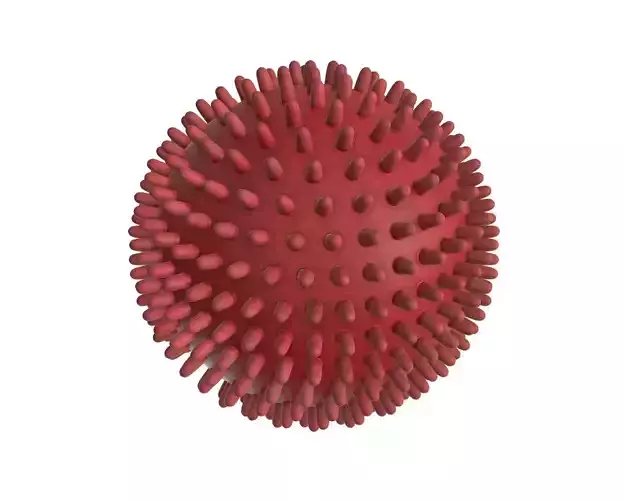 Dog ball toy