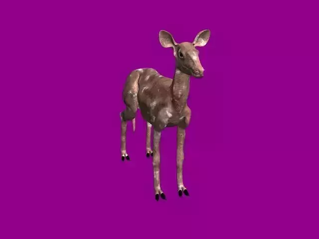 Deer 3d model
