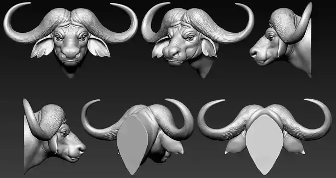 African Buffalo Head01 3D print model