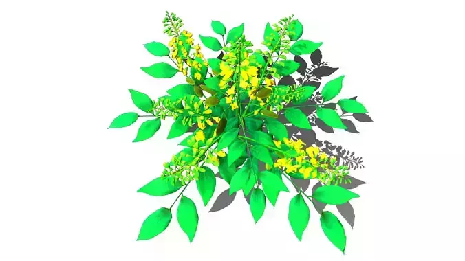 Flower Pterocarpus Indicus Low-poly 3D model