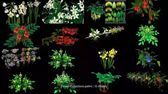 Flower Collections path4 