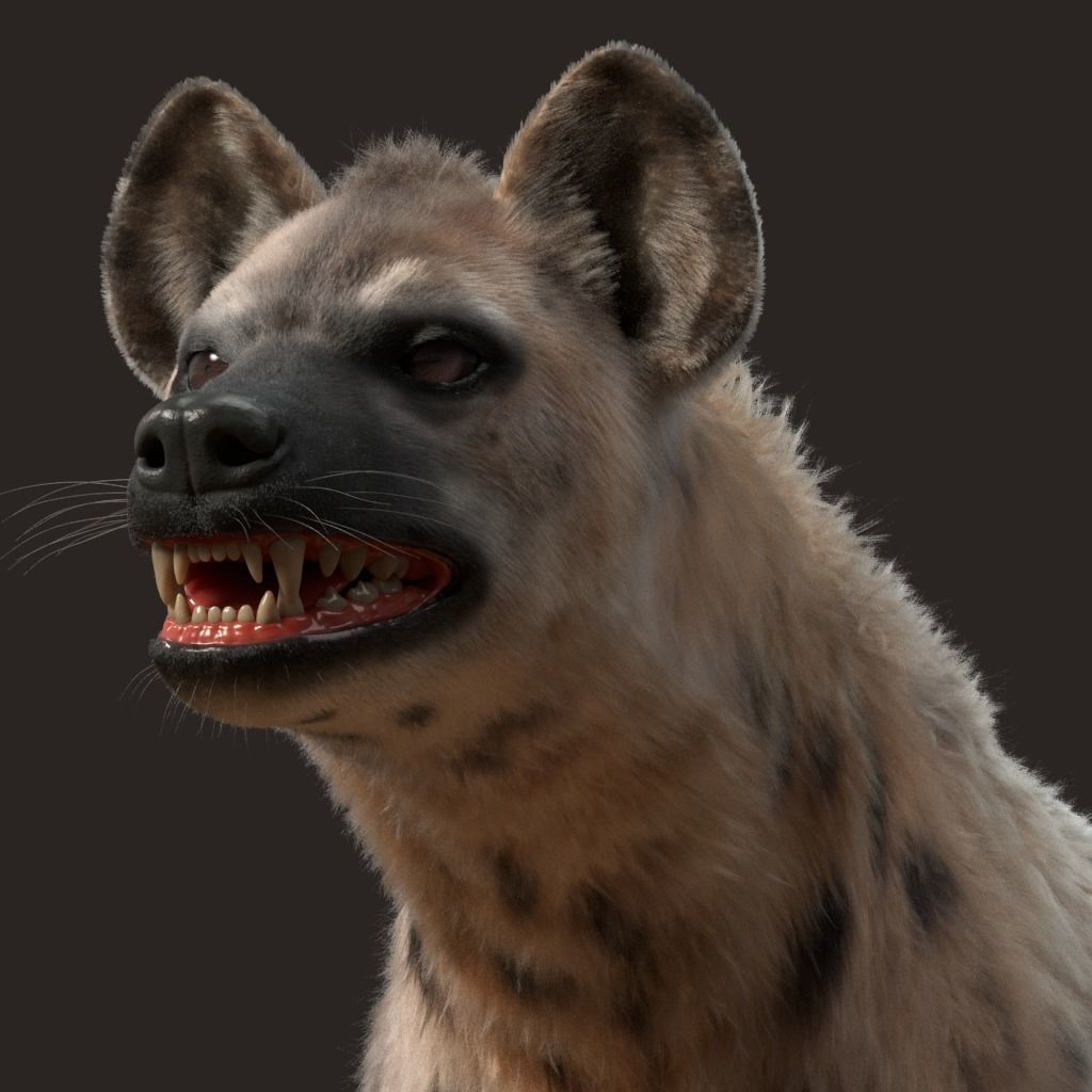 Hyena For Production 3D model_16