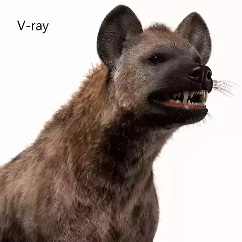 Hyena For Production 3D model