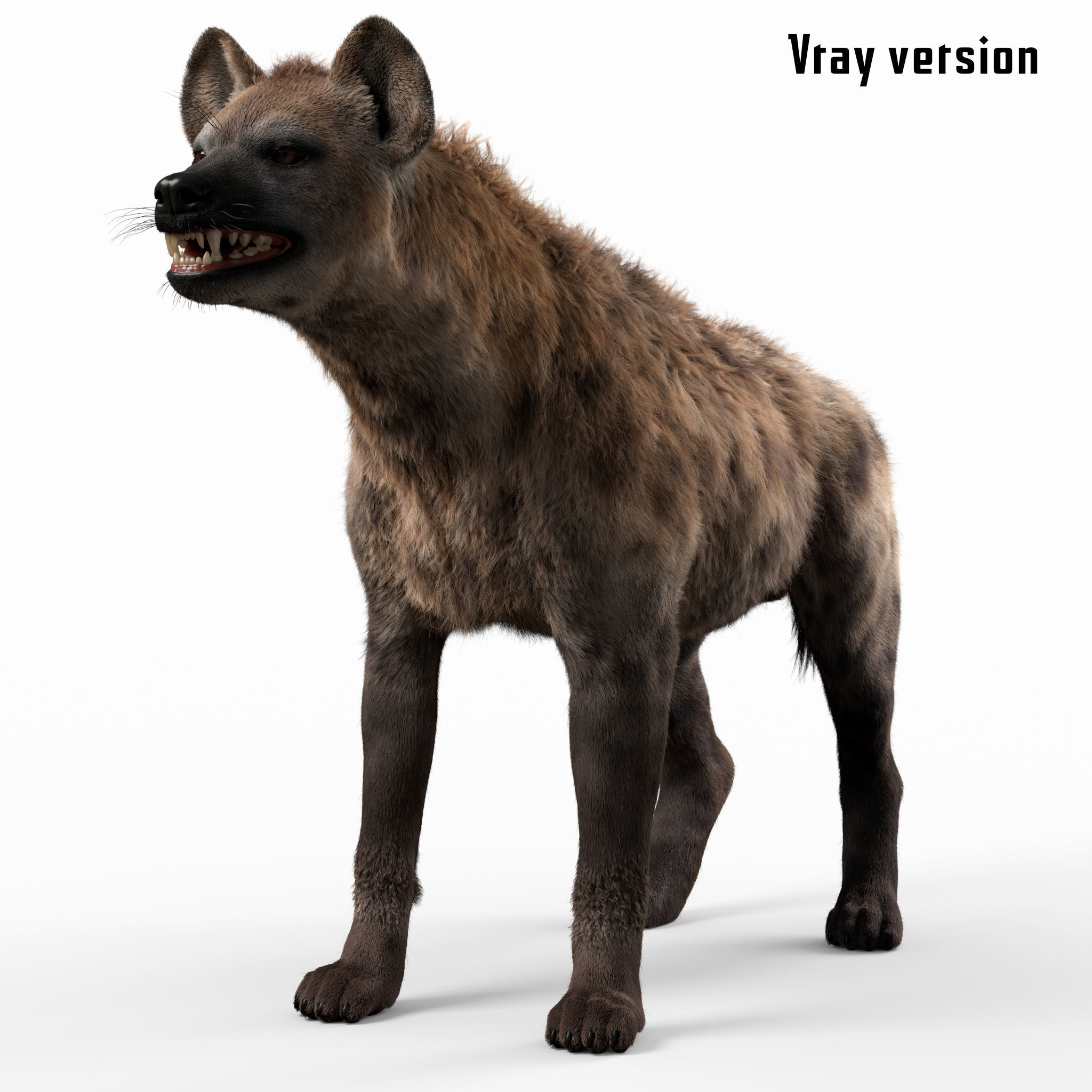 Hyena For Production 3D model_4