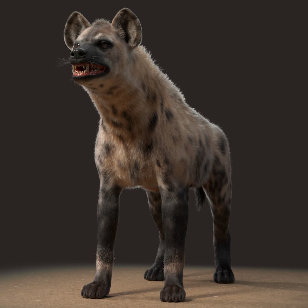 Hyena For Production 3D model_21