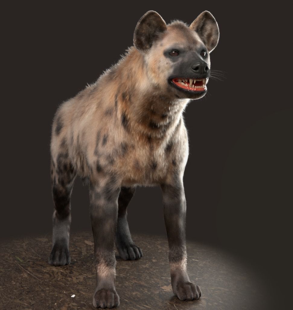 Hyena For Production 3D model_18