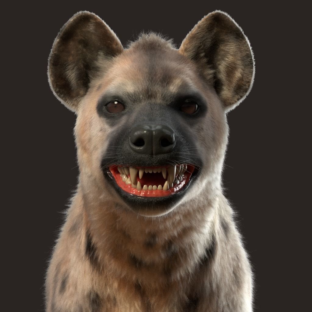 Hyena For Production 3D model_14