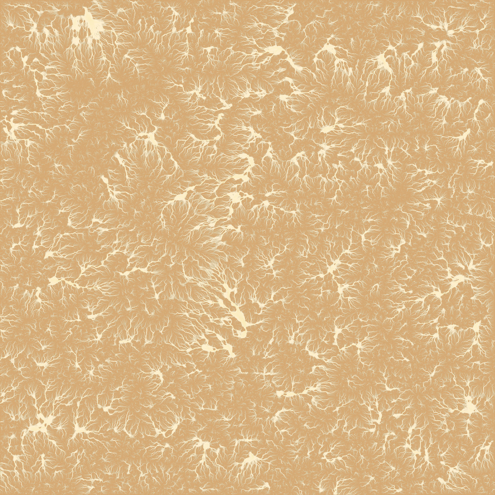 Rocky Desert Terrain 3D model_7