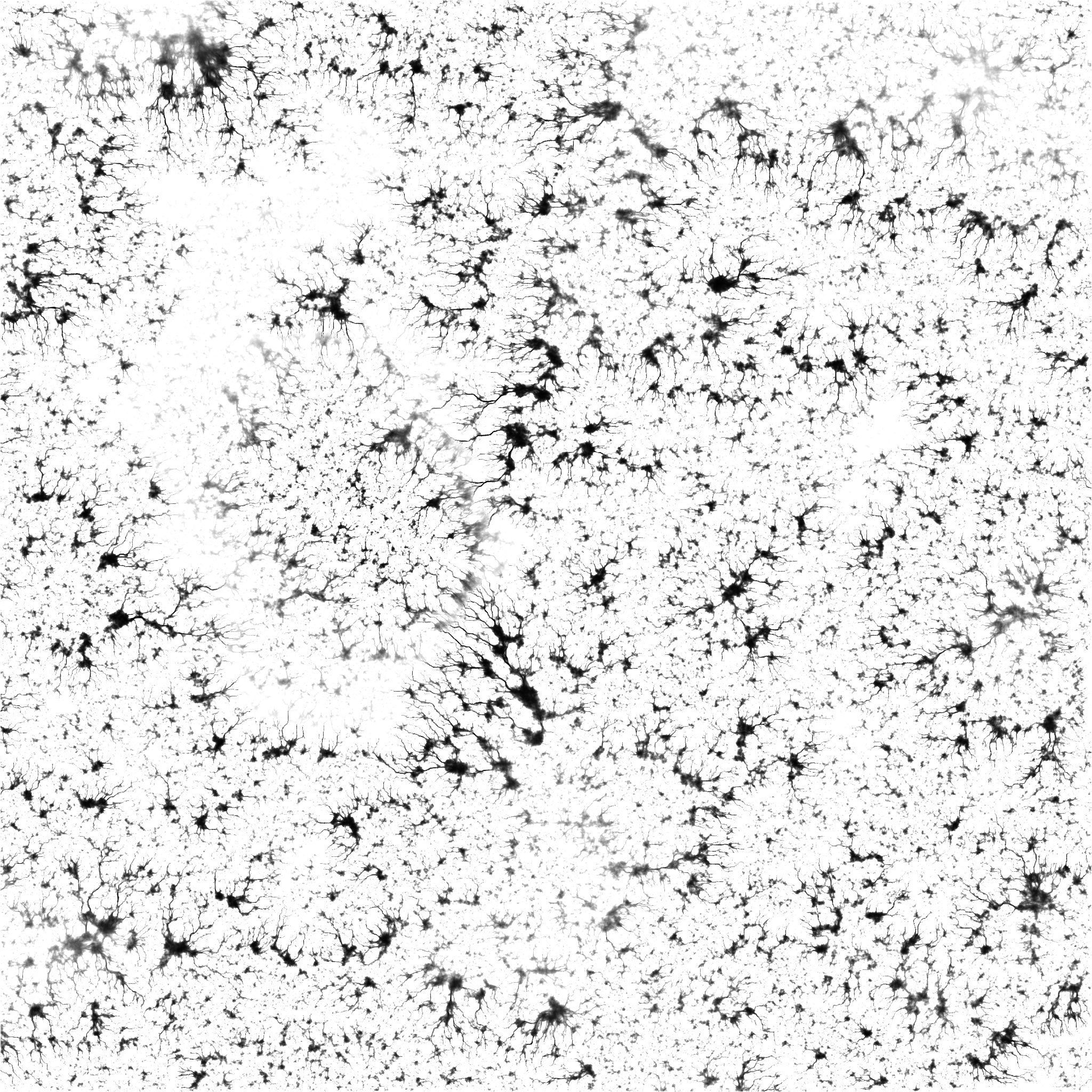 Rocky Desert Terrain 3D model_9