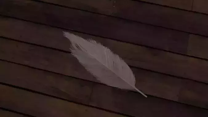 Feather