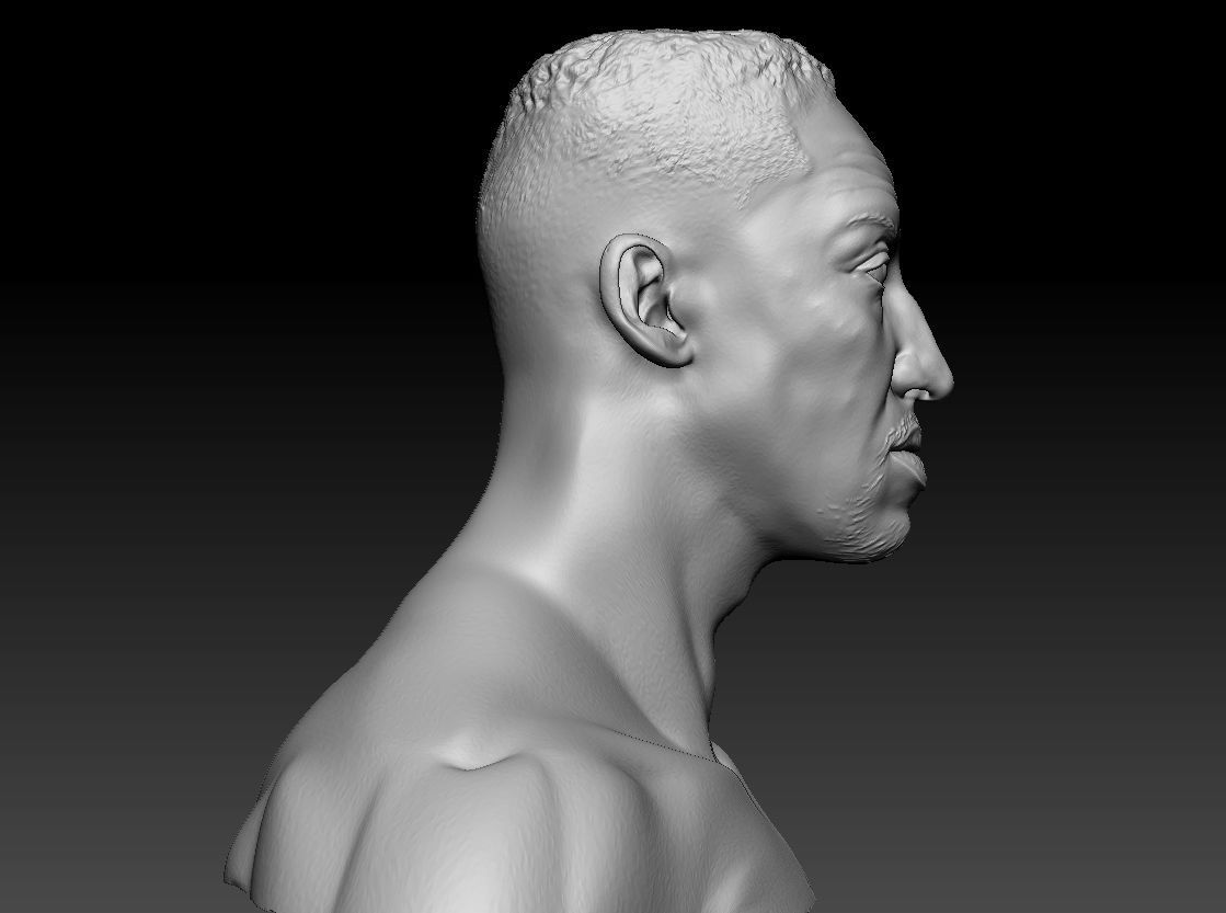 Scottie Pippen NBA 2 busts 3D print model_7
