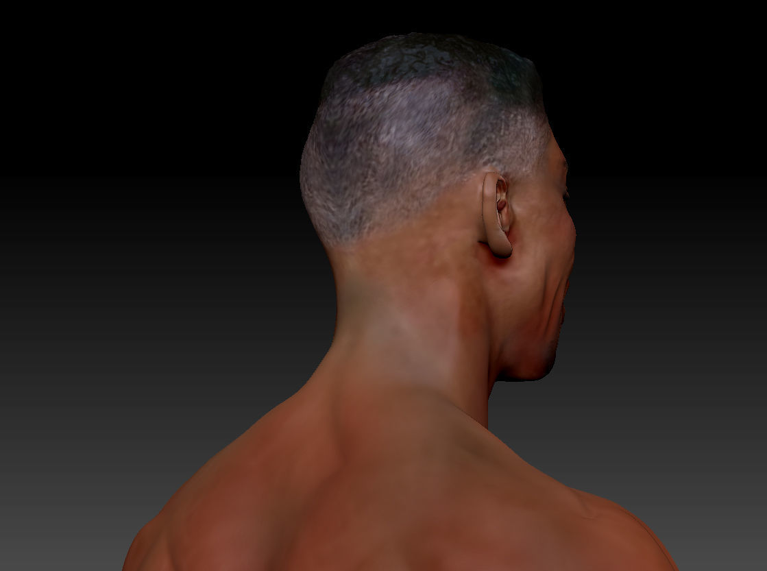 Scottie Pippen NBA 2 busts 3D print model_8