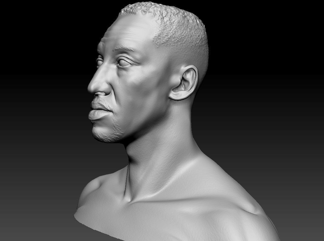 Scottie Pippen NBA 2 busts 3D print model_16