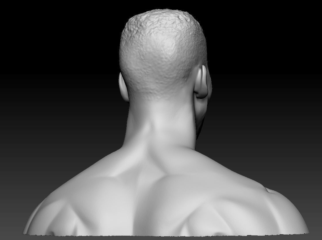 Scottie Pippen NBA 2 busts 3D print model_14