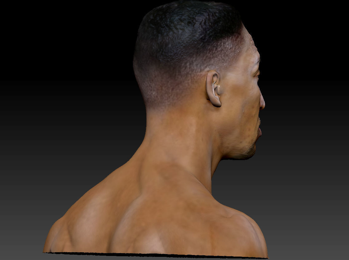 Scottie Pippen NBA 2 busts 3D print model_23