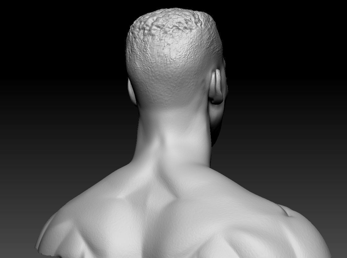 Scottie Pippen NBA 2 busts 3D print model_11