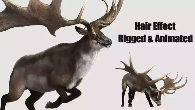megaloceros elk deer moose Low-poly 3D model