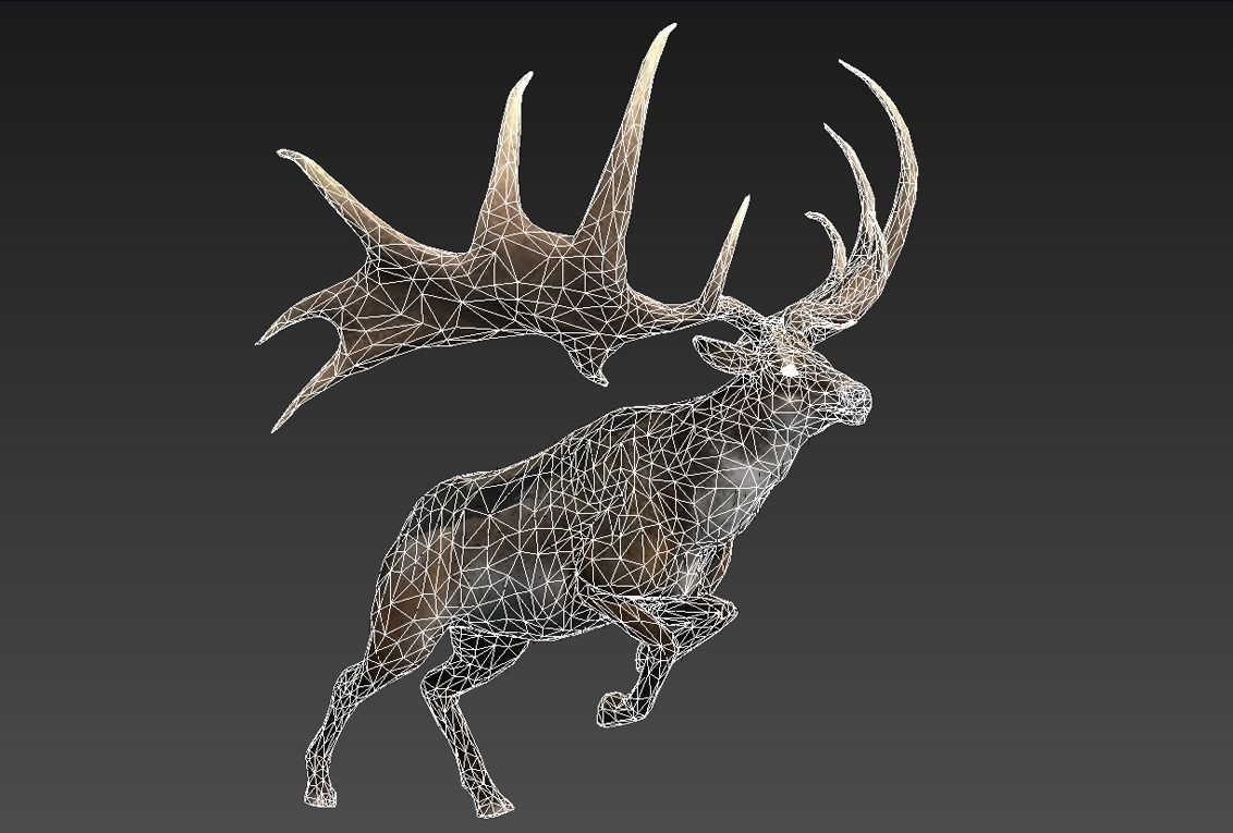 megaloceros elk deer moose Low-poly 3D model_11