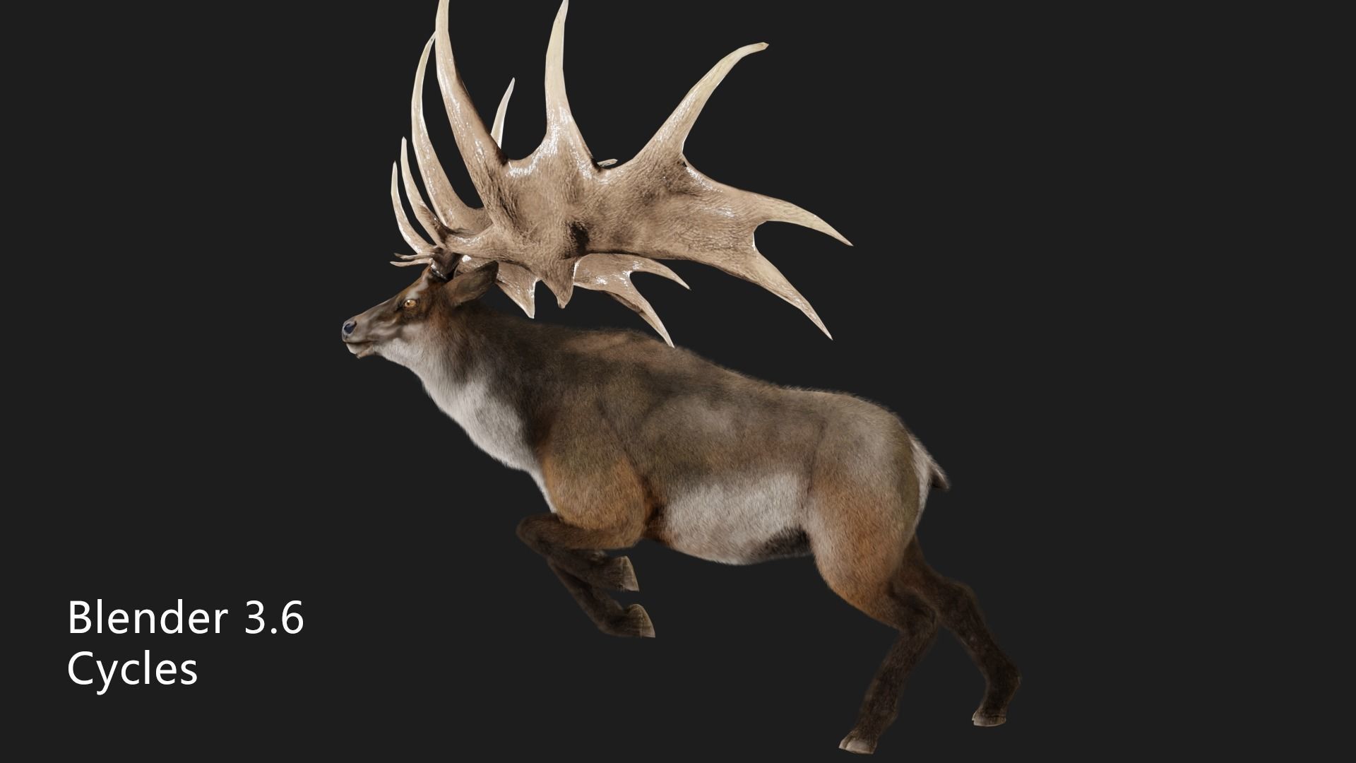 megaloceros elk deer moose Low-poly 3D model_8