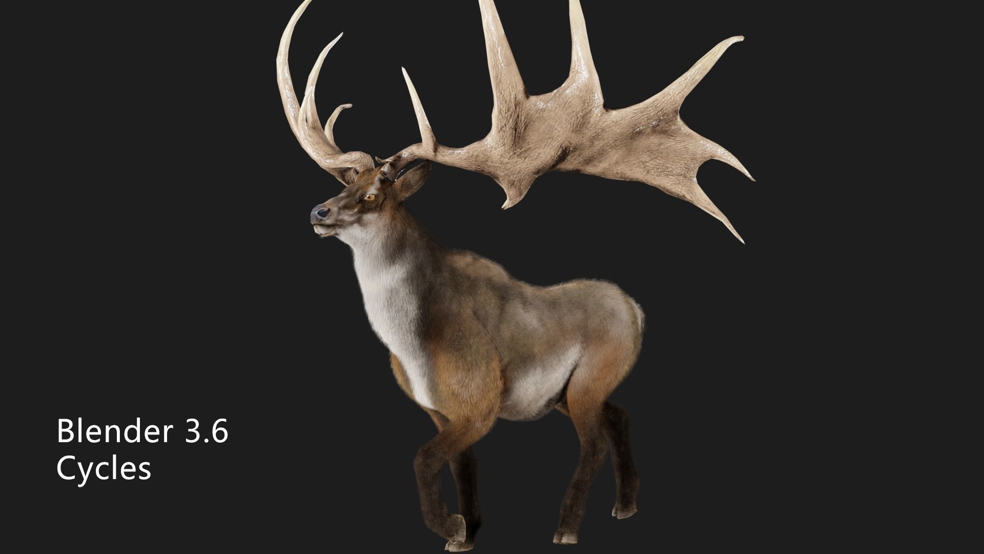megaloceros elk deer moose Low-poly 3D model_9