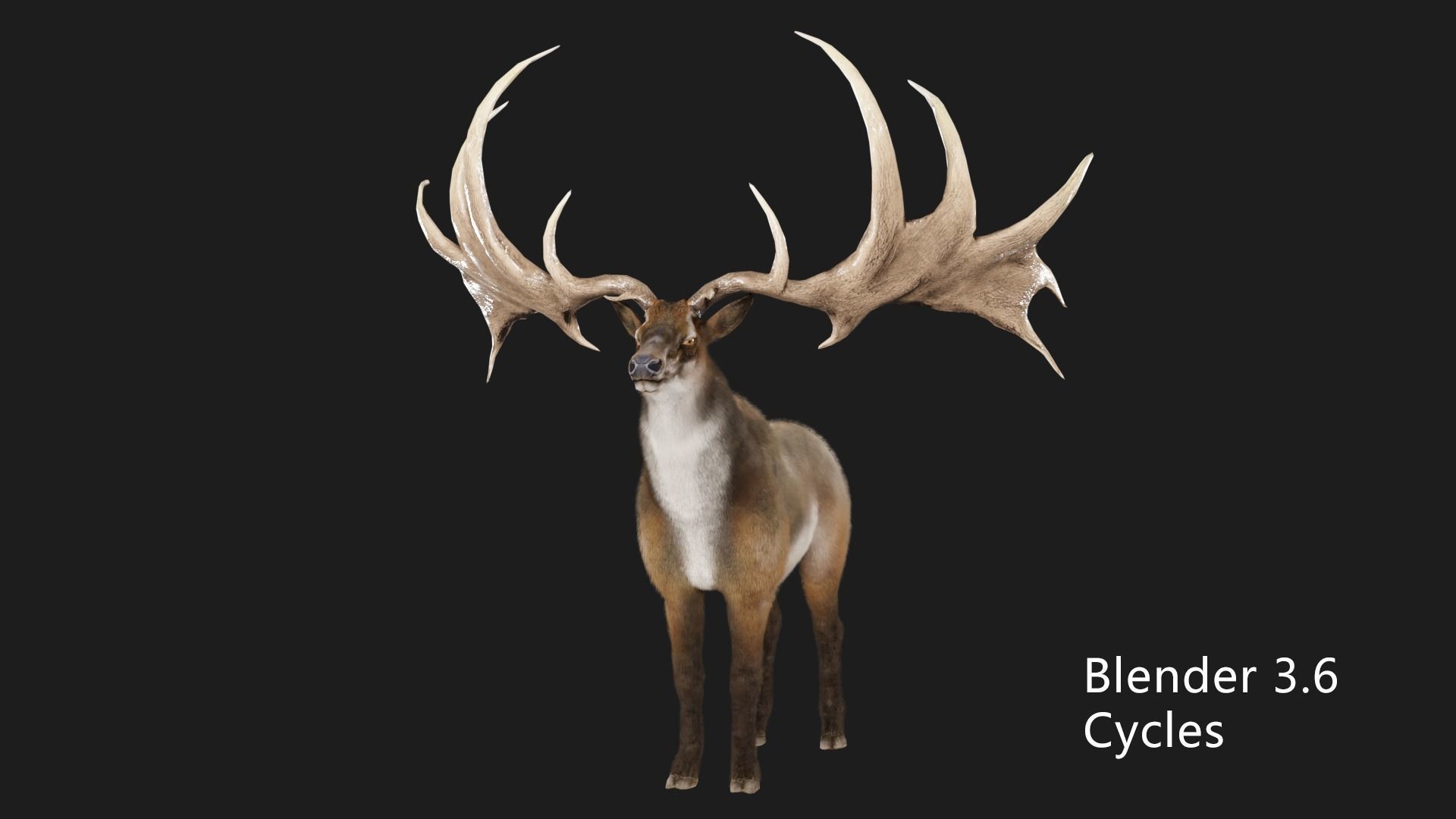 megaloceros elk deer moose Low-poly 3D model_10