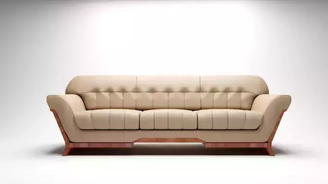 Luxury Couch