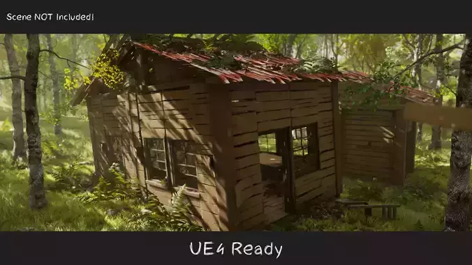 Destroyed Old House Hut - D