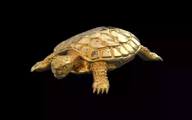 TURTLE TORTOISE