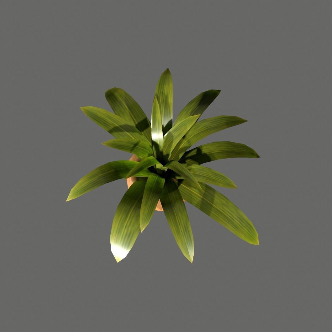 Pot Plant Free low-poly 3D model_9