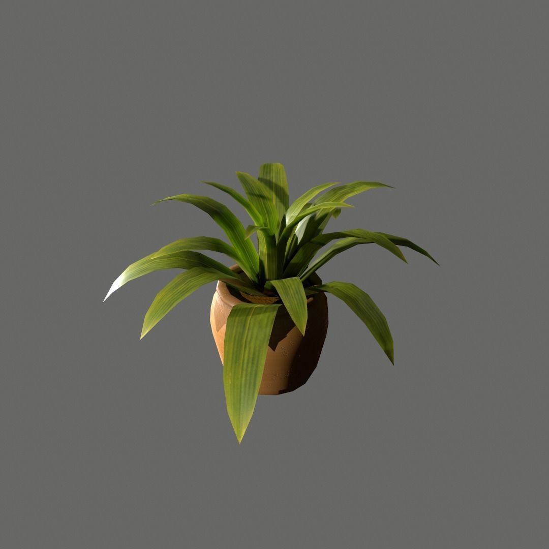 Pot Plant Free low-poly 3D model_4