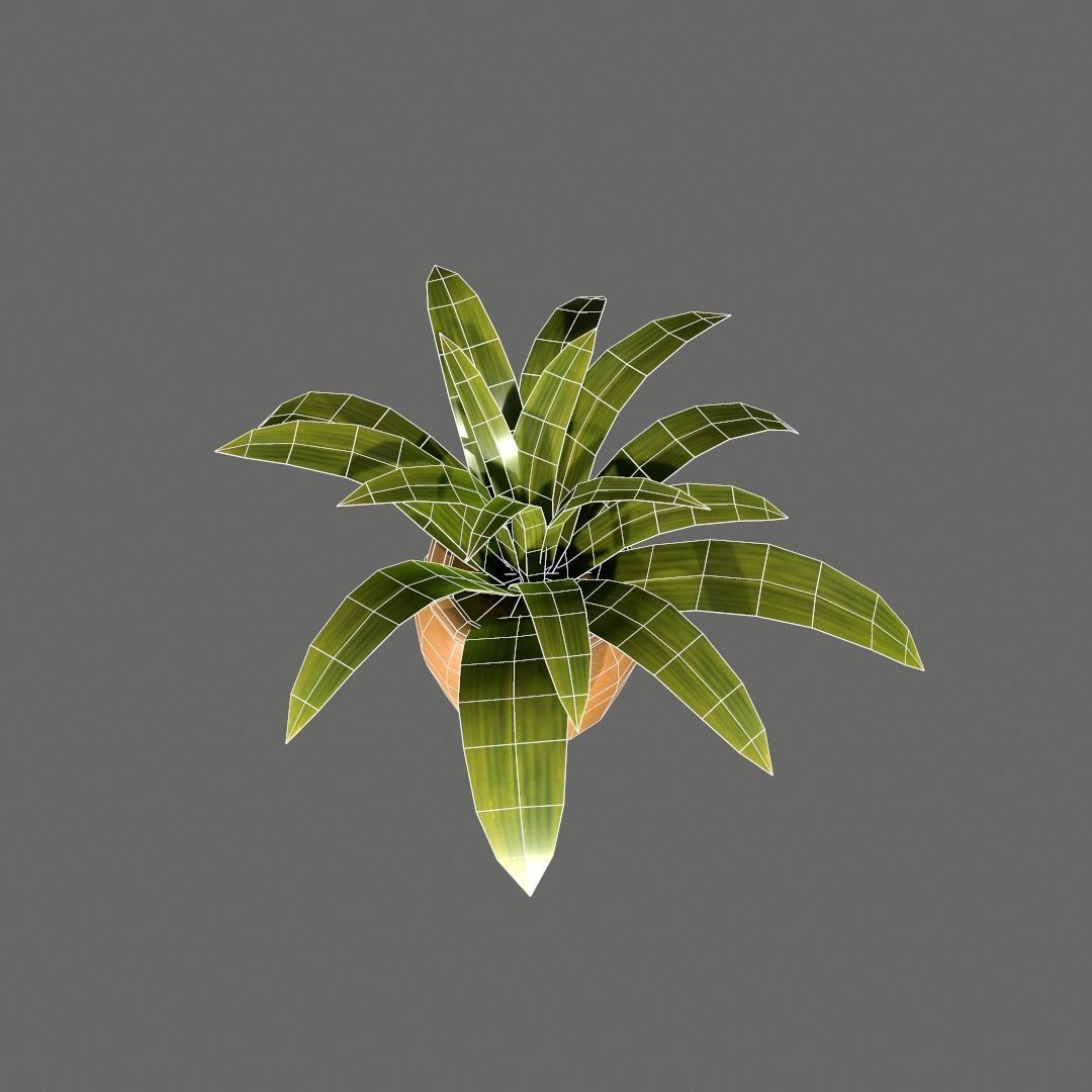 Pot Plant Free low-poly 3D model_5