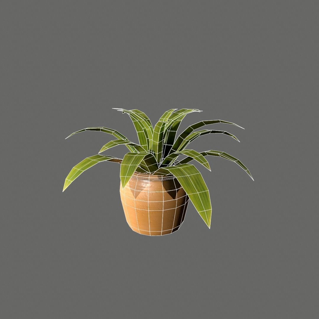 Pot Plant Free low-poly 3D model_7