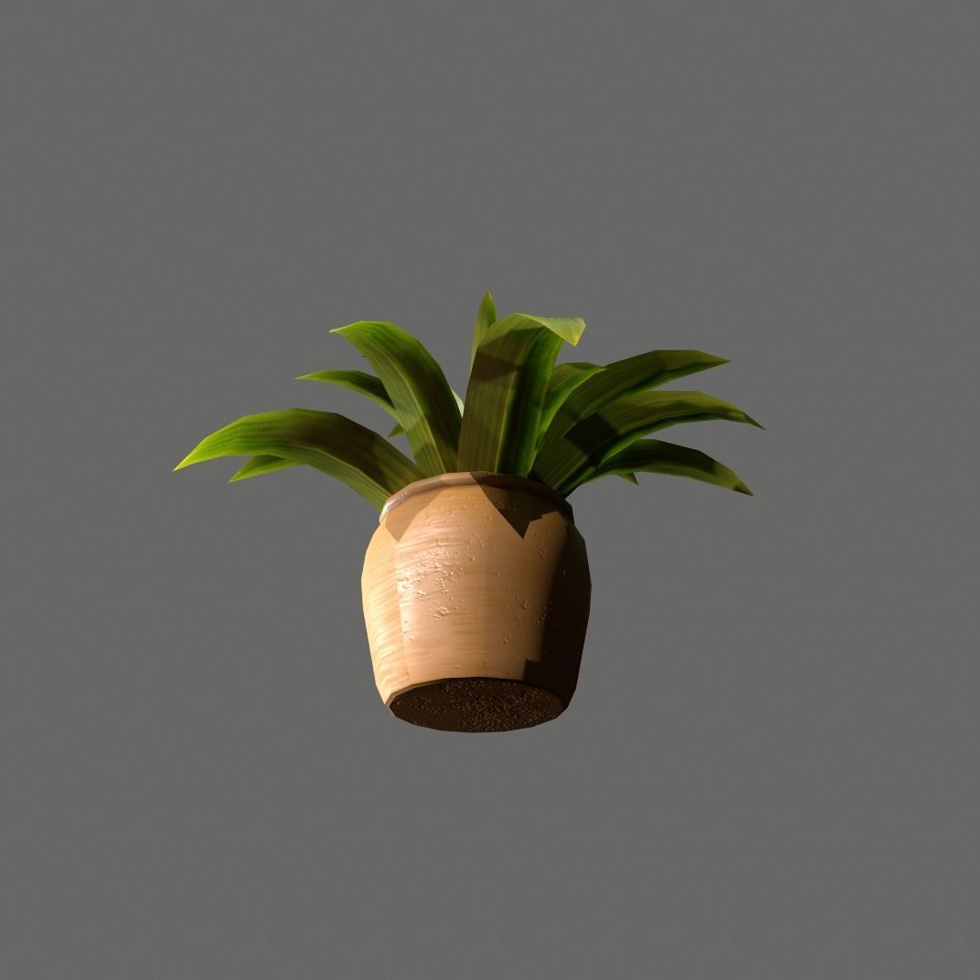Pot Plant Free low-poly 3D model_3