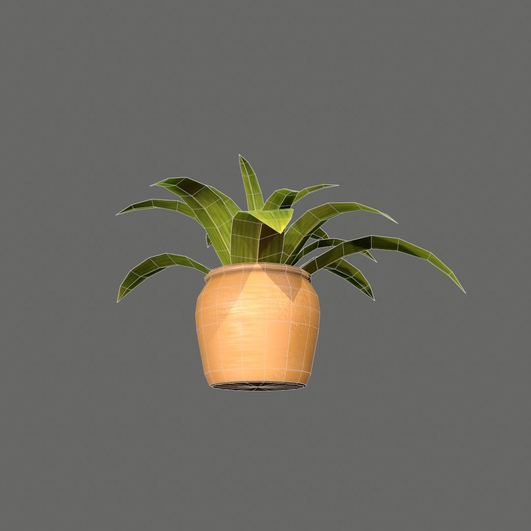 Pot Plant Free low-poly 3D model_6