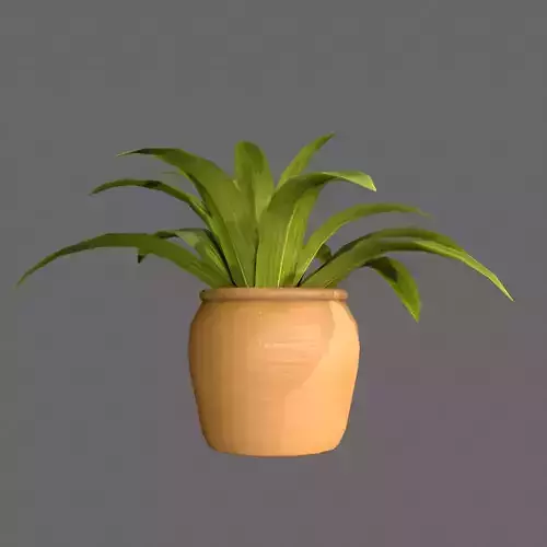 Pot Plant Free low-poly 3D model