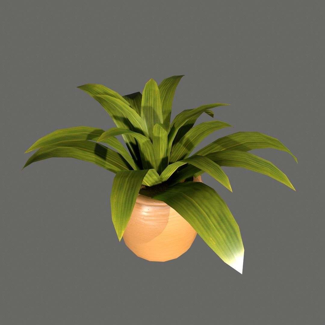 Pot Plant Free low-poly 3D model_8